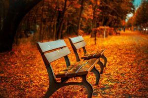 Changement # Transition # Automne (2)